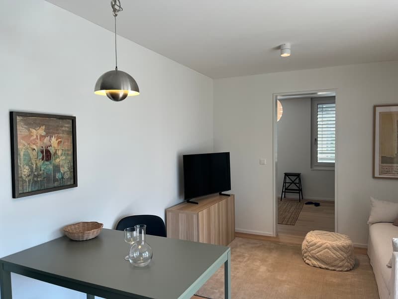 2½ ZI-WOHNUNG IN RORSCHACH (SG), MÖBLIERT, TEMPORÄR (3)