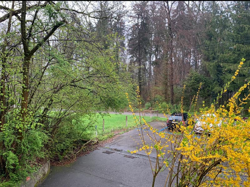 NUR EINZELPERSON 2.5 ZI-WHG IN ZÜRICH - KREIS 11 AFFOLTERN, MÖBLIERT, (10)