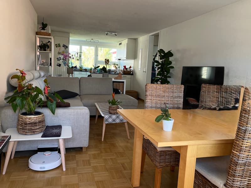 3.5 ZI-WOHNUNG AN EINZELPERSON IN EFFRETIKON (ZH), MÖBLIERT, TEMPORÄR (2)
