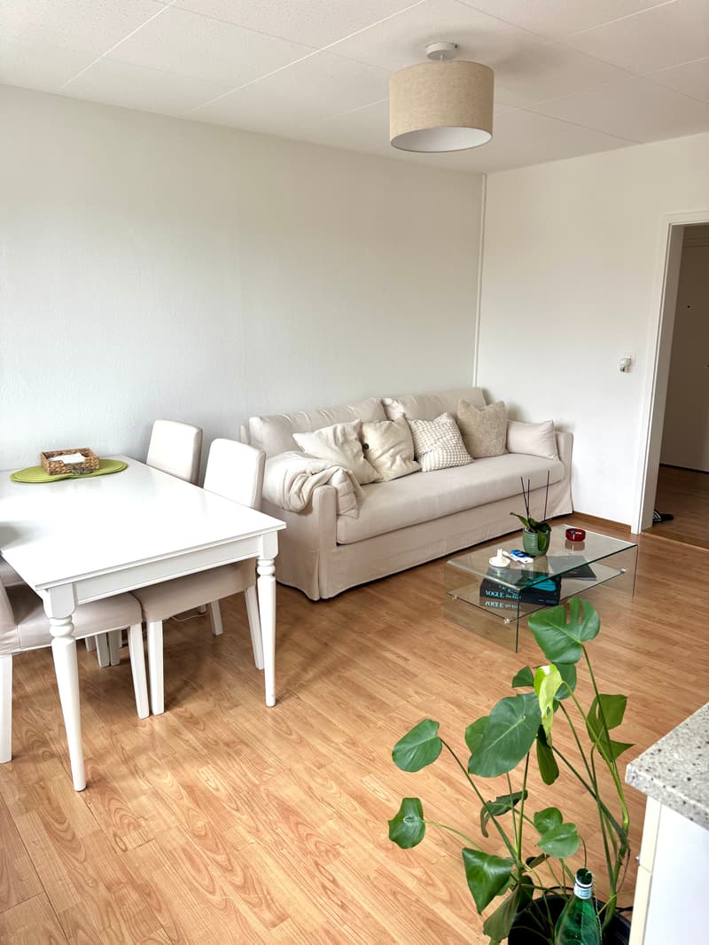 3½ ZI-WOHNUNG IN ZÜRICH - KREIS 8, MÖBLIERT, TEMPORÄR (2)