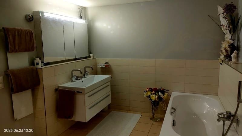 4½ ZI-WOHNUNG IN HILDISRIEDEN (LU), MÖBLIERT, TEMPORÄR (6)