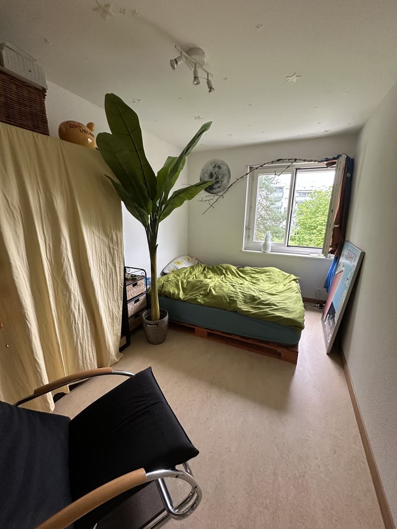 2 ZI-WOHNUNG IN EFFRETIKON (ZH), MÖBLIERT, TEMPORÄR (2)