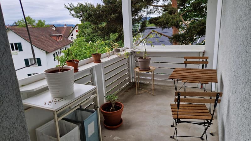 2½ ZI-WOHNUNG IN ZÜRICH - KREIS 10 RÜTIHOF, MÖBLIERT, TEMPORÄR (8)