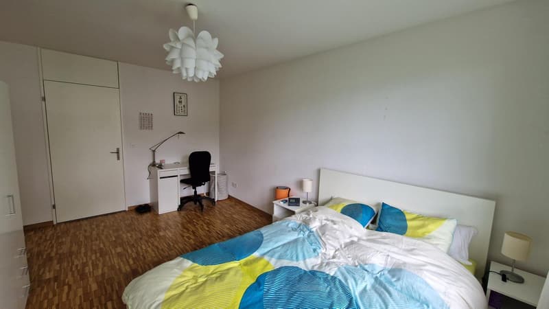 2½ ZI-WOHNUNG IN ZÜRICH - KREIS 10 RÜTIHOF, MÖBLIERT, TEMPORÄR (6)