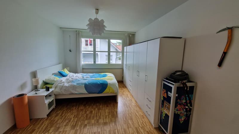 2½ ZI-WOHNUNG IN ZÜRICH - KREIS 10 RÜTIHOF, MÖBLIERT, TEMPORÄR (5)