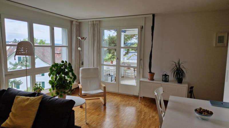 2½ ZI-WOHNUNG IN ZÜRICH - KREIS 10 RÜTIHOF, MÖBLIERT, TEMPORÄR (3)