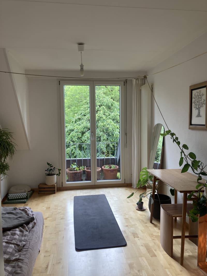 3 ZI-WOHNUNG IN WABERN (BE), MÖBLIERT, TEMPORÄR (2)