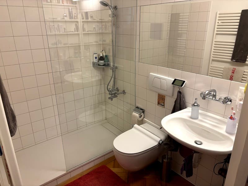 2½ ZI-WOHNUNG IN BERN - LORRAINE, MÖBLIERT, TEMPORÄR (5)
