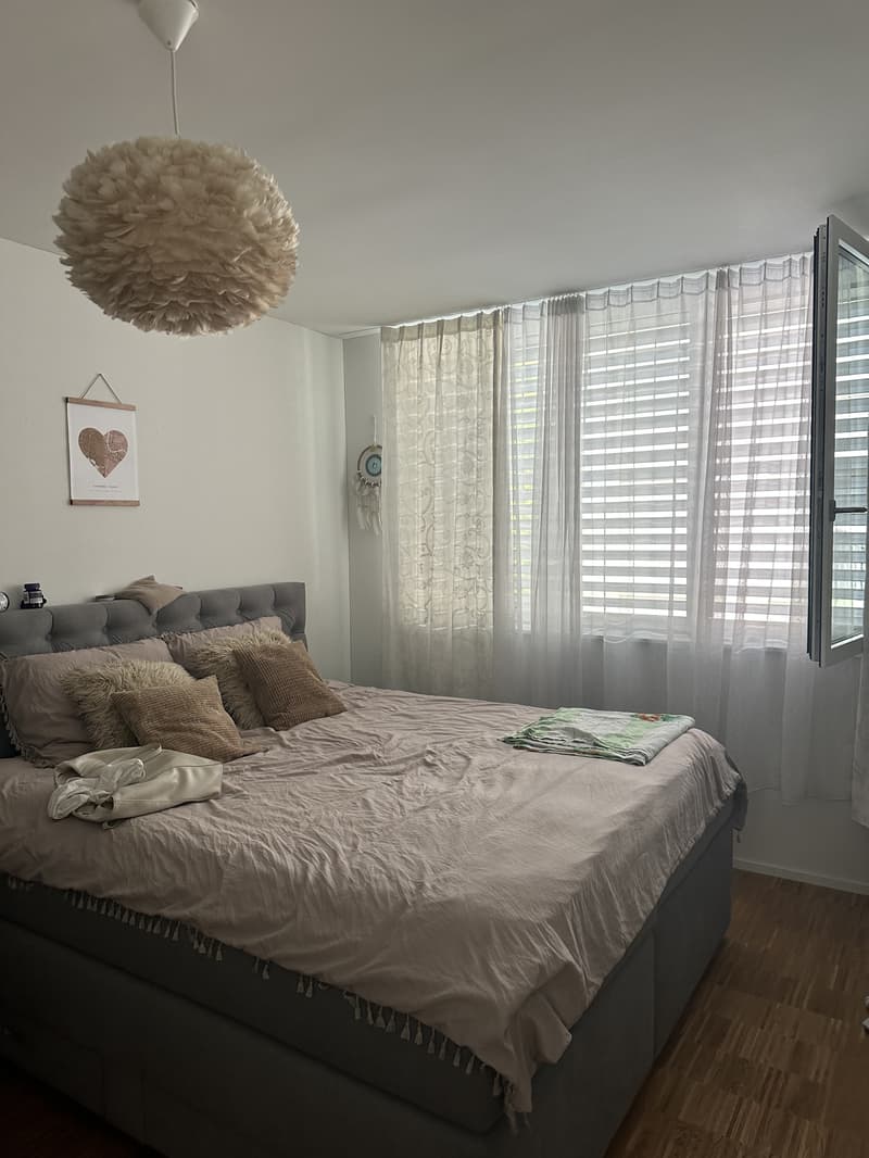 2½ ZI-WOHNUNG IN MÜNCHENSTEIN (BL), MÖBLIERT, TEMPORÄR (3)