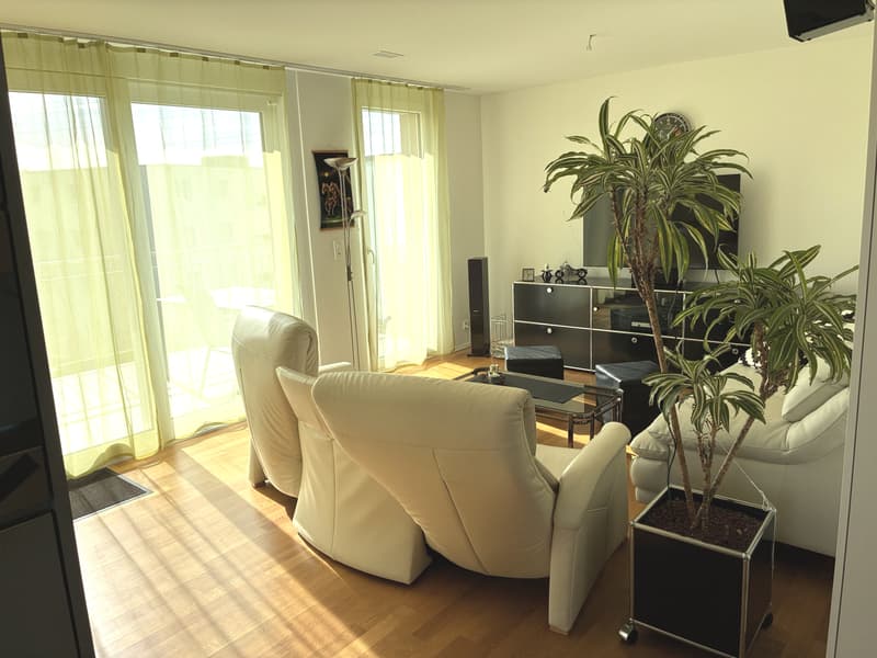 3½ ZIMMER-DACHWOHNUNG IN KERZERS (FR), MÖBLIERT, TEMPORÄR (1)