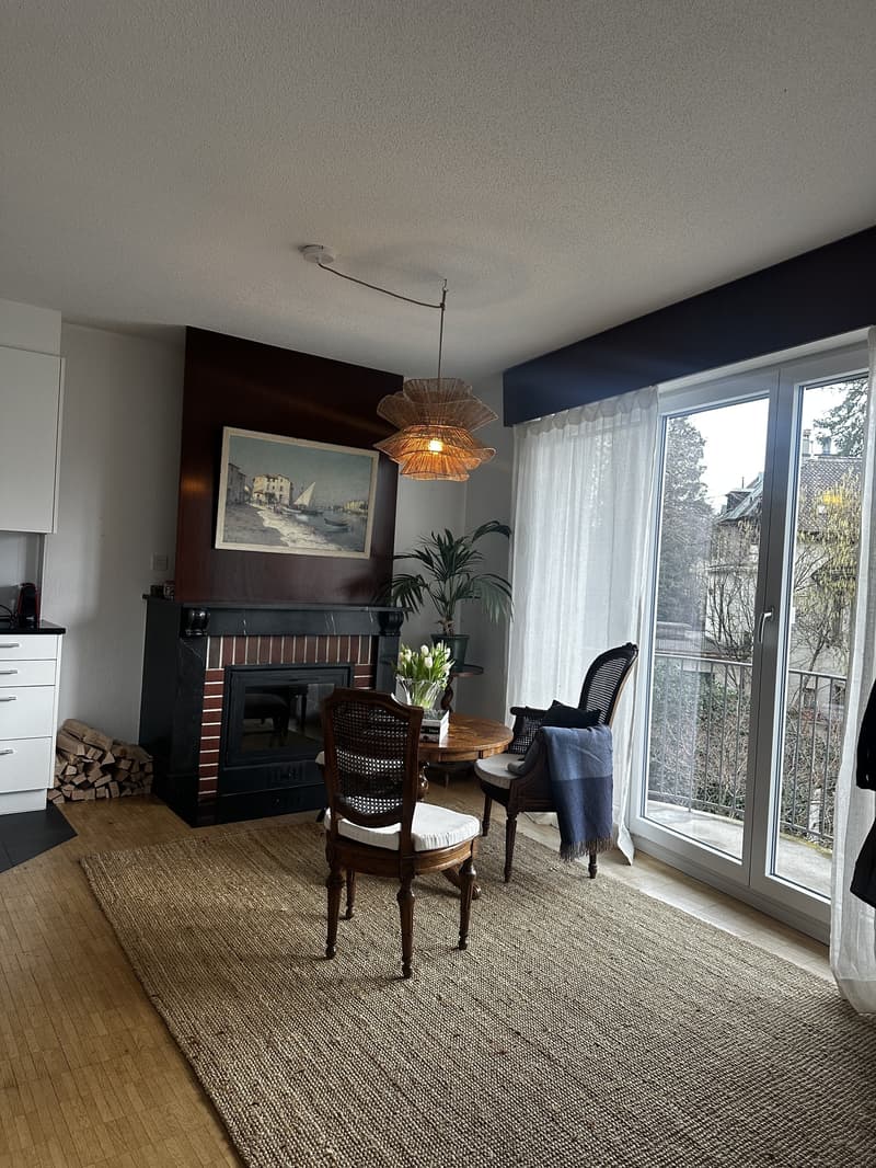 1½ ZI-WOHNUNG IN BERN - KIRCHENFELD, MÖBLIERT, TEMPORÄR (6)