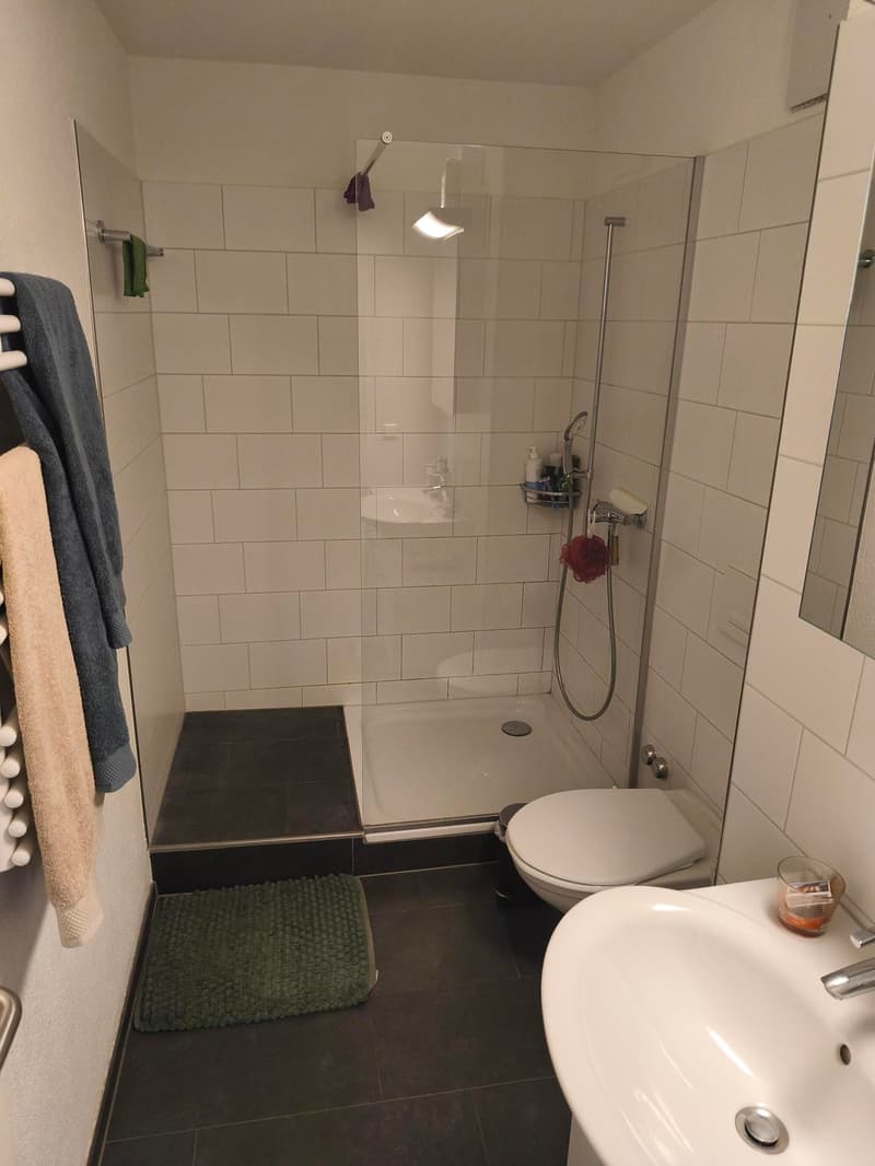 2½ ZI-WOHNUNG IN BERN - MATTENHOF, MÖBLIERT, TEMPORÄR (4)