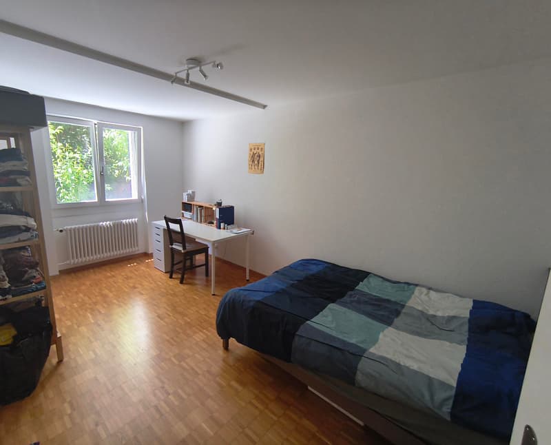 2½ ZI-WOHNUNG IN BERN - MATTENHOF, MÖBLIERT, TEMPORÄR (3)