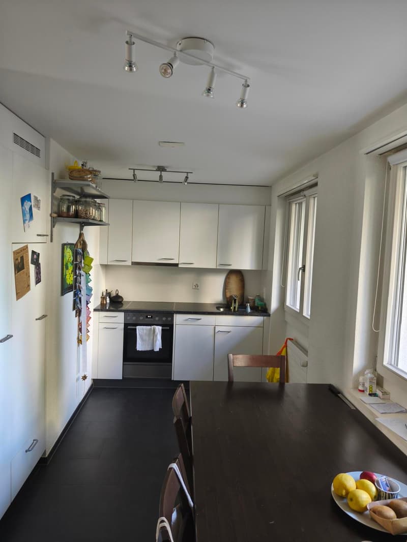 2½ ZI-WOHNUNG IN BERN - MATTENHOF, MÖBLIERT, TEMPORÄR (2)