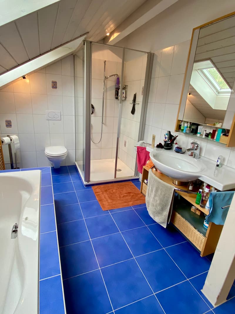 5½ ZIMMER-HAUS IN WETZIKON (ZH), MÖBLIERT, TEMPORÄR (8)