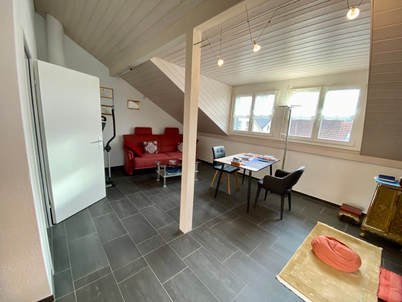 5½ ZIMMER-HAUS IN WETZIKON (ZH), MÖBLIERT, TEMPORÄR (5)
