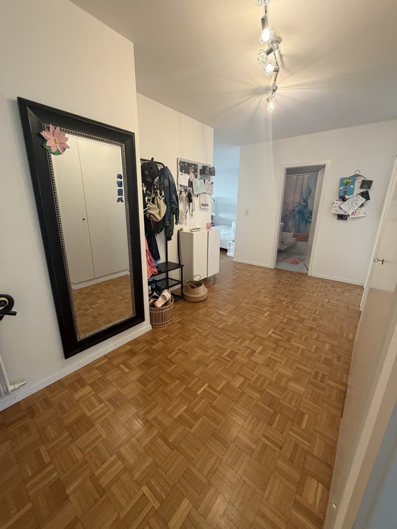Appartamento 1½ Locali a Berna - Länggasse, Arredato, Temporaneo (5)