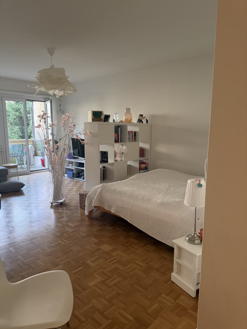 Appartamento 1½ Locali a Berna - Länggasse, Arredato, Temporaneo (3)
