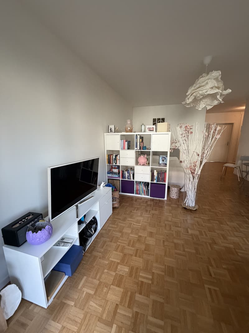 Appartamento 1½ Locali a Berna - Länggasse, Arredato, Temporaneo (2)