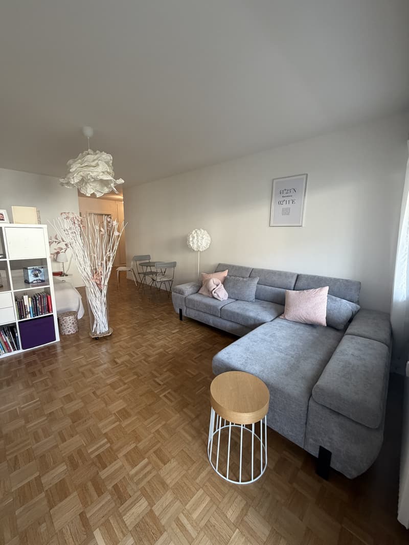 Appartamento 1½ Locali a Berna - Länggasse, Arredato, Temporaneo (1)