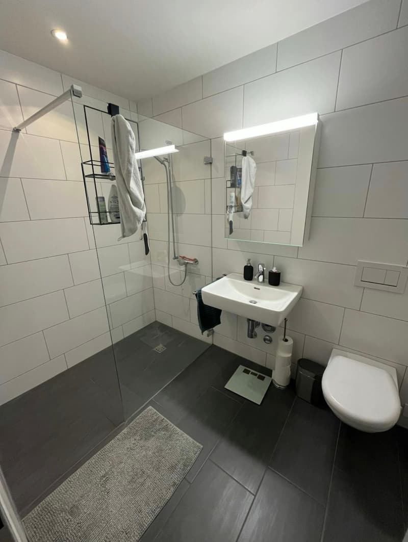 4½ ZI-WOHNUNG IN MÖNCHALTORF (ZH), MÖBLIERT, TEMPORÄR (7)