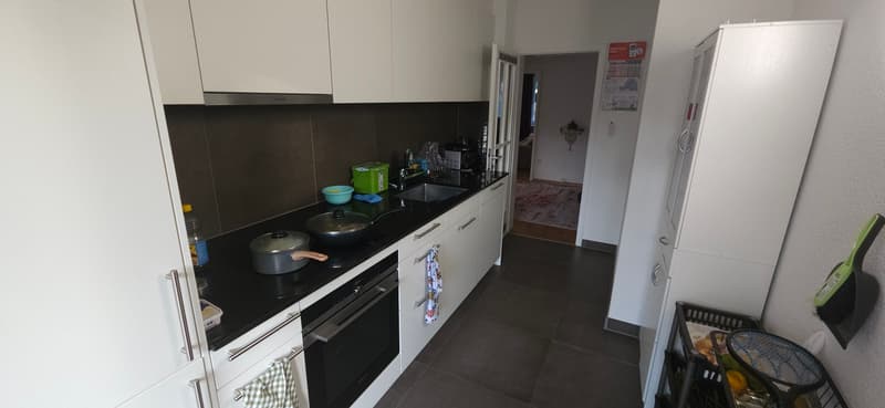 4 ZI-WOHNUNG IN BASEL - GELLERT/ST. ALBAN, MÖBLIERT, TEMPORÄR (4)