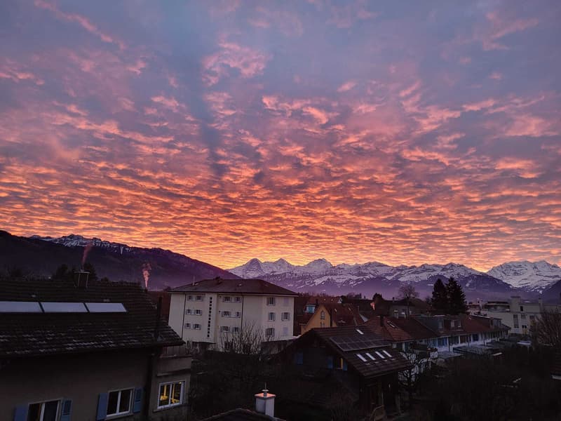 2 ZI-WOHNUNG IN THUN (BE), MÖBLIERT, TEMPORÄR (8)