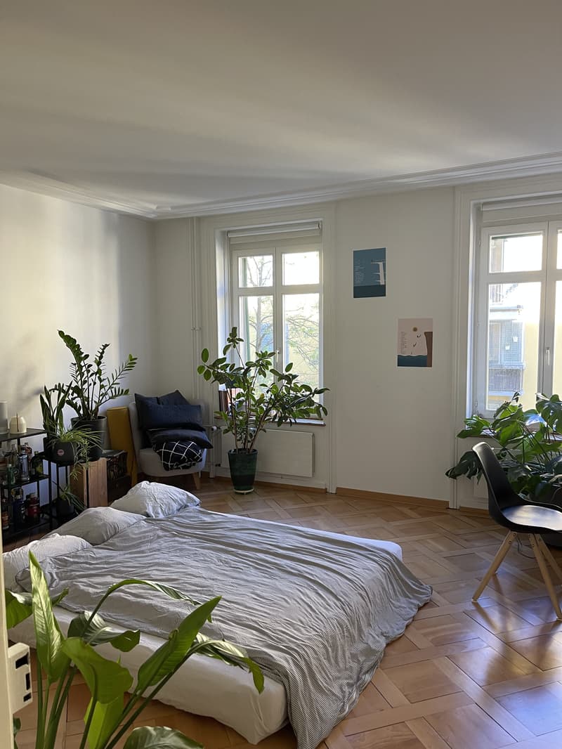 3 ZI-WOHNUNG IN ZÜRICH - KREIS 4, MÖBLIERT, TEMPORÄR (3)