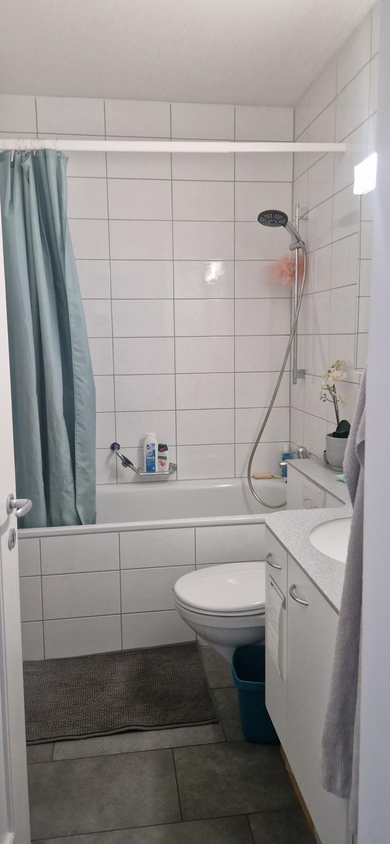 2½ ZI-WOHNUNG IN BERN - MARZILI, MÖBLIERT, TEMPORÄR (6)
