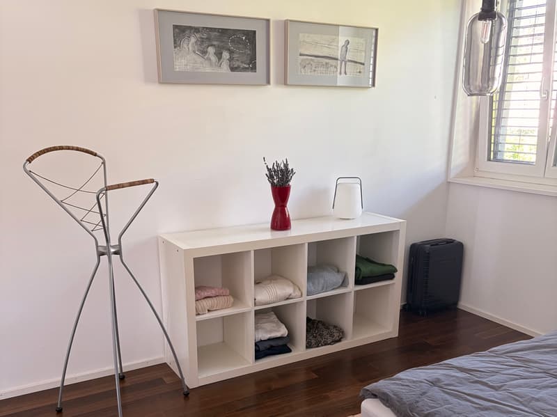 2½ ZI-WOHNUNG IN MÄNNEDORF (ZH), MÖBLIERT, TEMPORÄR (4)