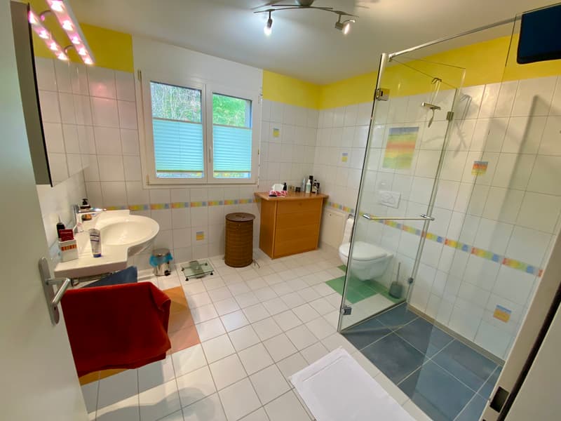5½ ZIMMER-HAUS IN WETZIKON (ZH), MÖBLIERT, TEMPORÄR (9)