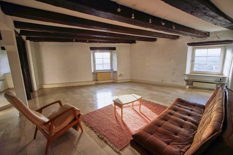 4½ ZI-WOHNUNG IN MÜNCHENSTEIN (BL), MÖBLIERT, TEMPORÄR (2)