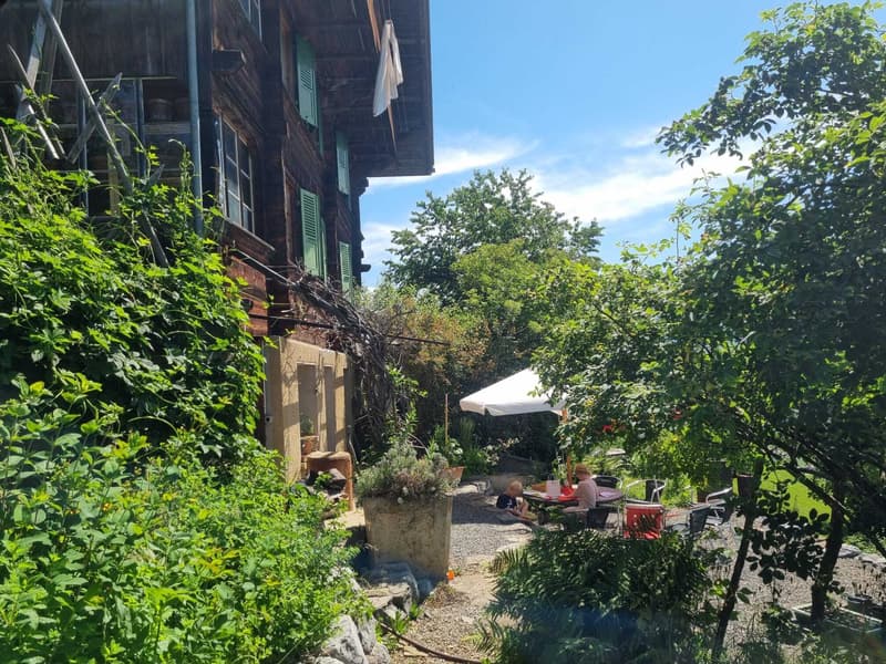 4 ZI-WOHNUNG IN WEISSENBURG (BE), MÖBLIERT, TEMPORÄR (10)