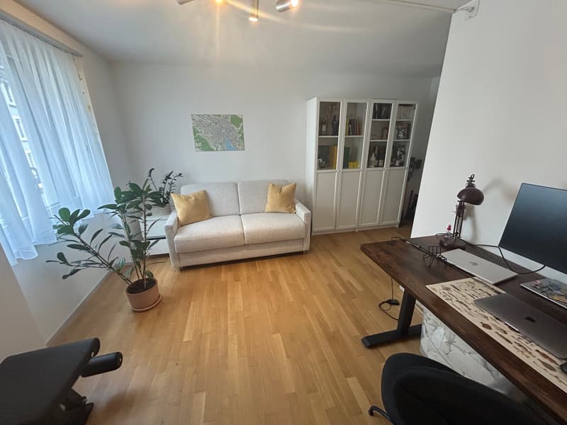 3½ ZI-WOHNUNG IN ZÜRICH - KREIS 4, MÖBLIERT, TEMPORÄR (3)