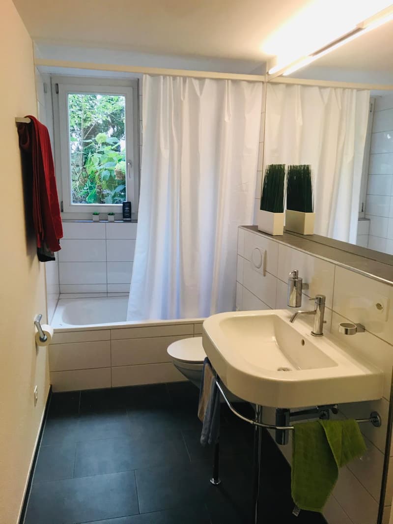 2½ ZI-WOHNUNG IN BASEL - BINNINGEN, MÖBLIERT, TEMPORÄR (5)