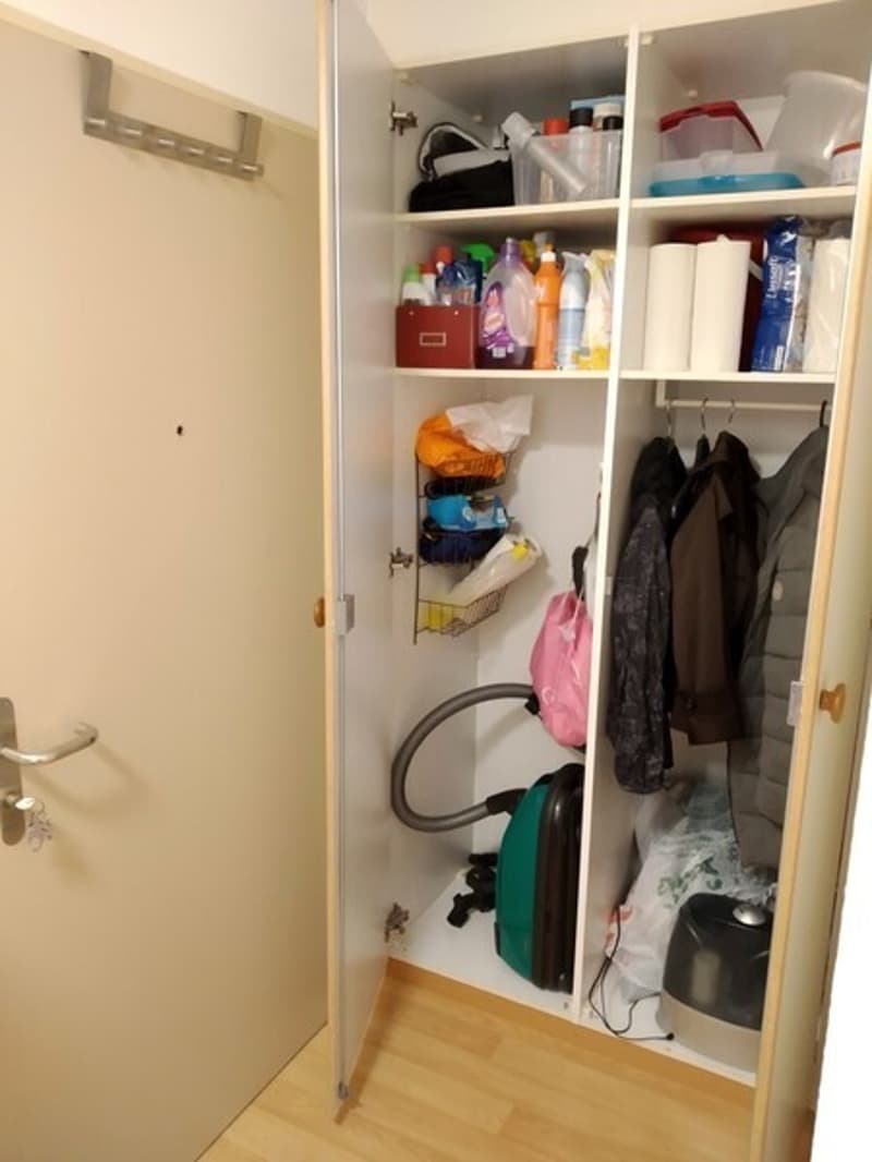 2.5 Room Apartment in Zurich - District 4, Furnished, Temporary (5)