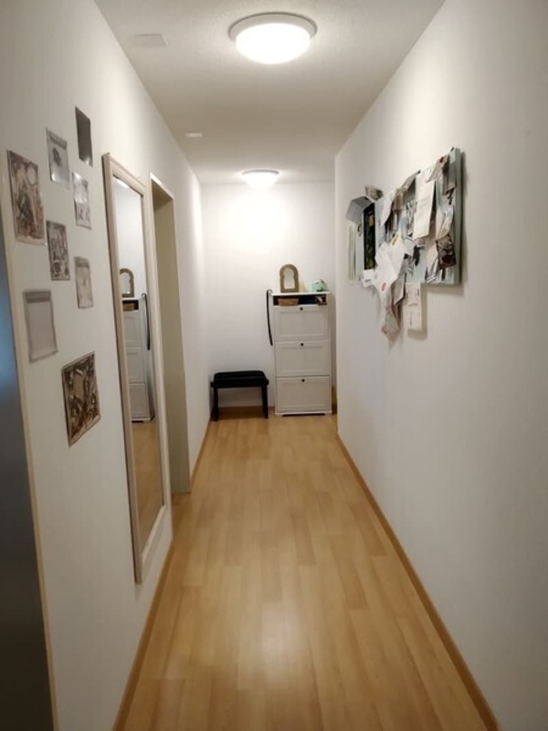 2.5 Room Apartment in Zurich - District 4, Furnished, Temporary (4)