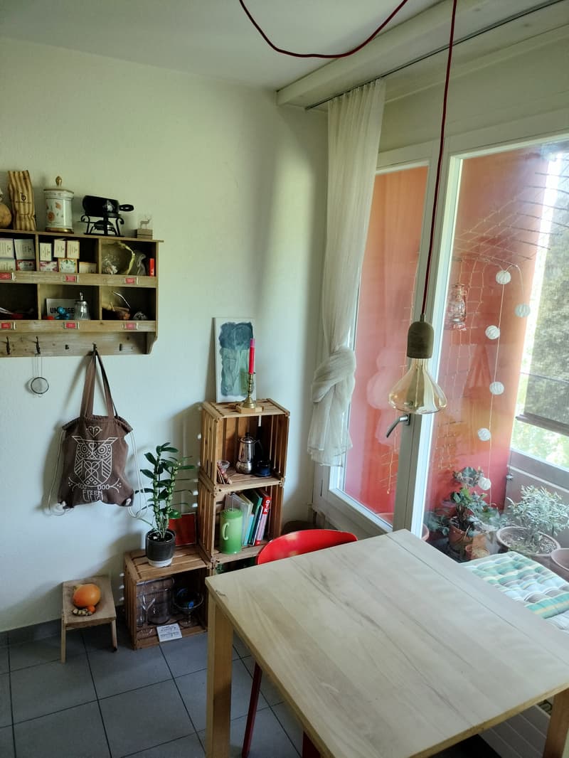 STUDIO IN BERN - OBSTBERG/SCHOSSHALDE, MÖBLIERT, TEMPORÄR (4)