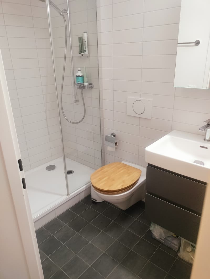 STUDIO IN BERN - OBSTBERG/SCHOSSHALDE, MÖBLIERT, TEMPORÄR (7)
