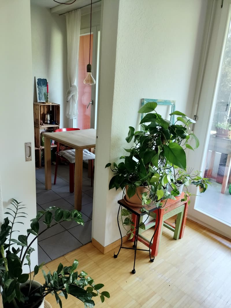 STUDIO IN BERN - OBSTBERG/SCHOSSHALDE, MÖBLIERT, TEMPORÄR (3)