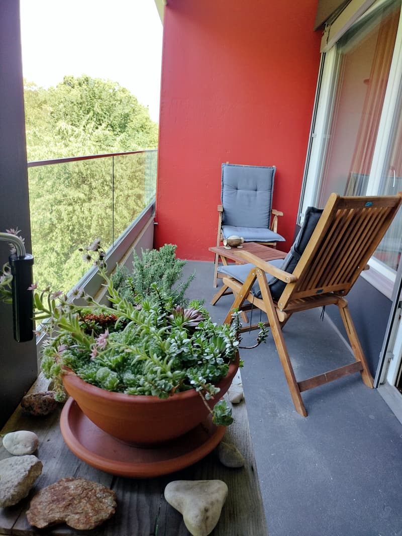 STUDIO IN BERN - OBSTBERG/SCHOSSHALDE, MÖBLIERT, TEMPORÄR (2)