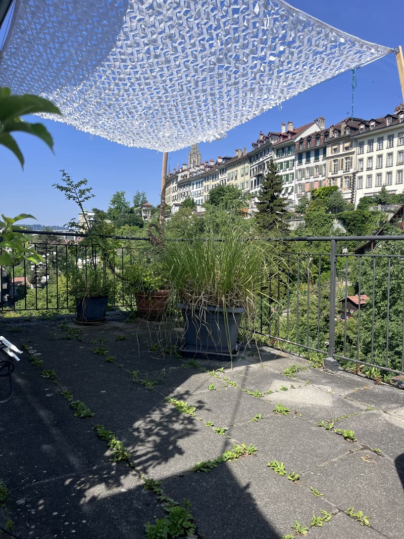 2 ZI-WOHNUNG IN BERN - MATTE, MÖBLIERT, TEMPORÄR (7)