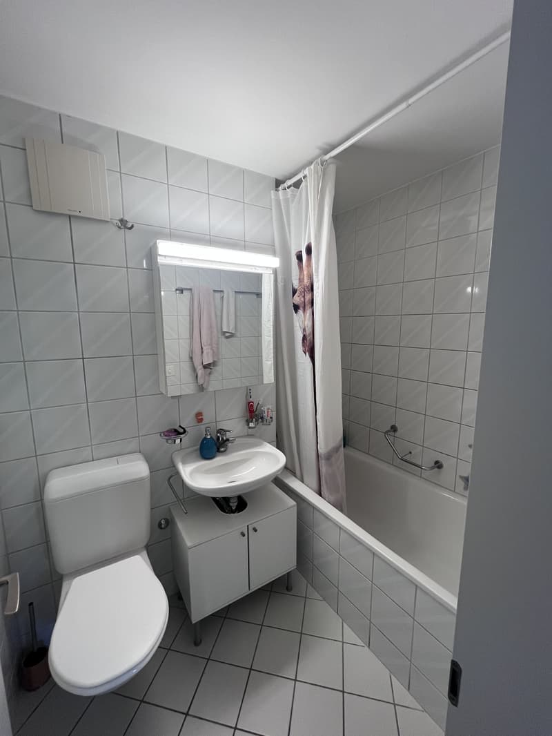 2 ZI-WOHNUNG IN BERN - MATTE, MÖBLIERT, TEMPORÄR (6)