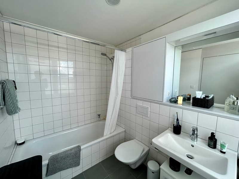 2½ ZI-WOHNUNG IN ZÜRICH - KREIS 4 HARD, MÖBLIERT, TEMPORÄR (6)