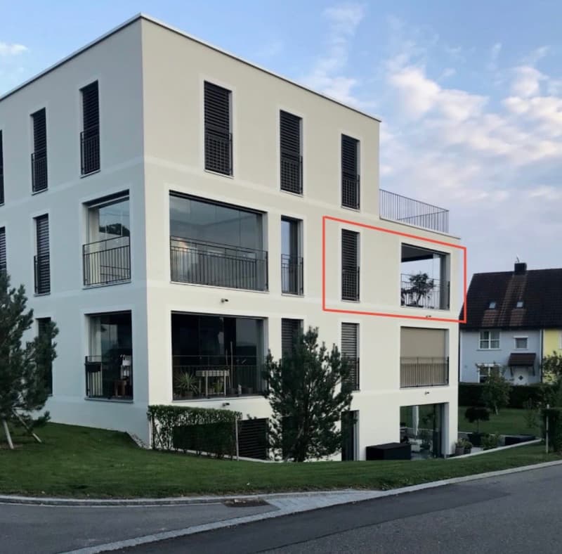 3½ ROOM APARTMENT IN HEDINGEN (ZH), FURNISHED, TEMPORARY (9)