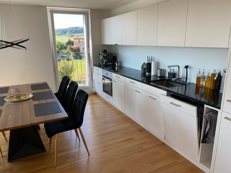 3½ ROOM APARTMENT IN HEDINGEN (ZH), FURNISHED, TEMPORARY (3)