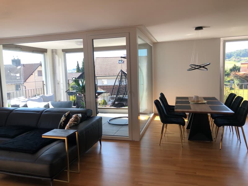 3½ ROOM APARTMENT IN HEDINGEN (ZH), FURNISHED, TEMPORARY (2)