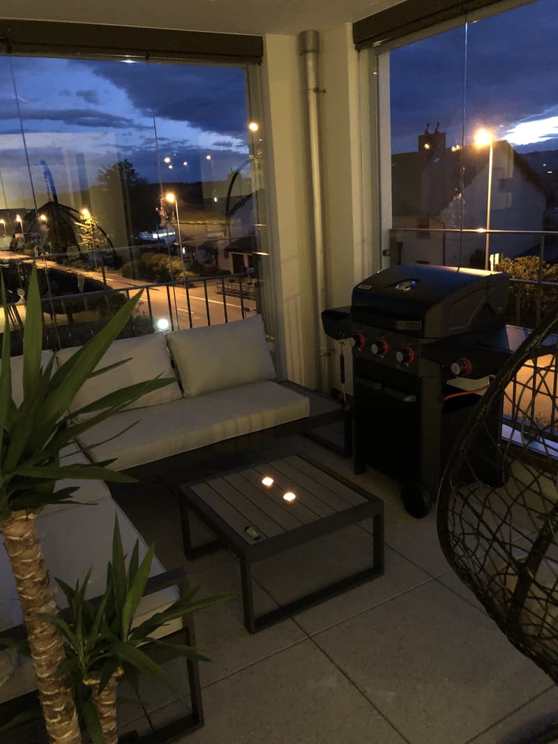 3½ ROOM APARTMENT IN HEDINGEN (ZH), FURNISHED, TEMPORARY (7)