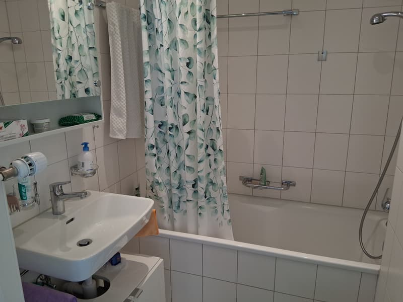 3 ZI-WOHNUNG IN BERN - BREITENRAIN, MÖBLIERT, TEMPORÄR (9)