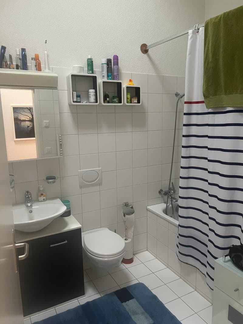 2½ ZI-WOHNUNG IN BERN - ALTENBERG, MÖBLIERT, TEMPORÄR (5)